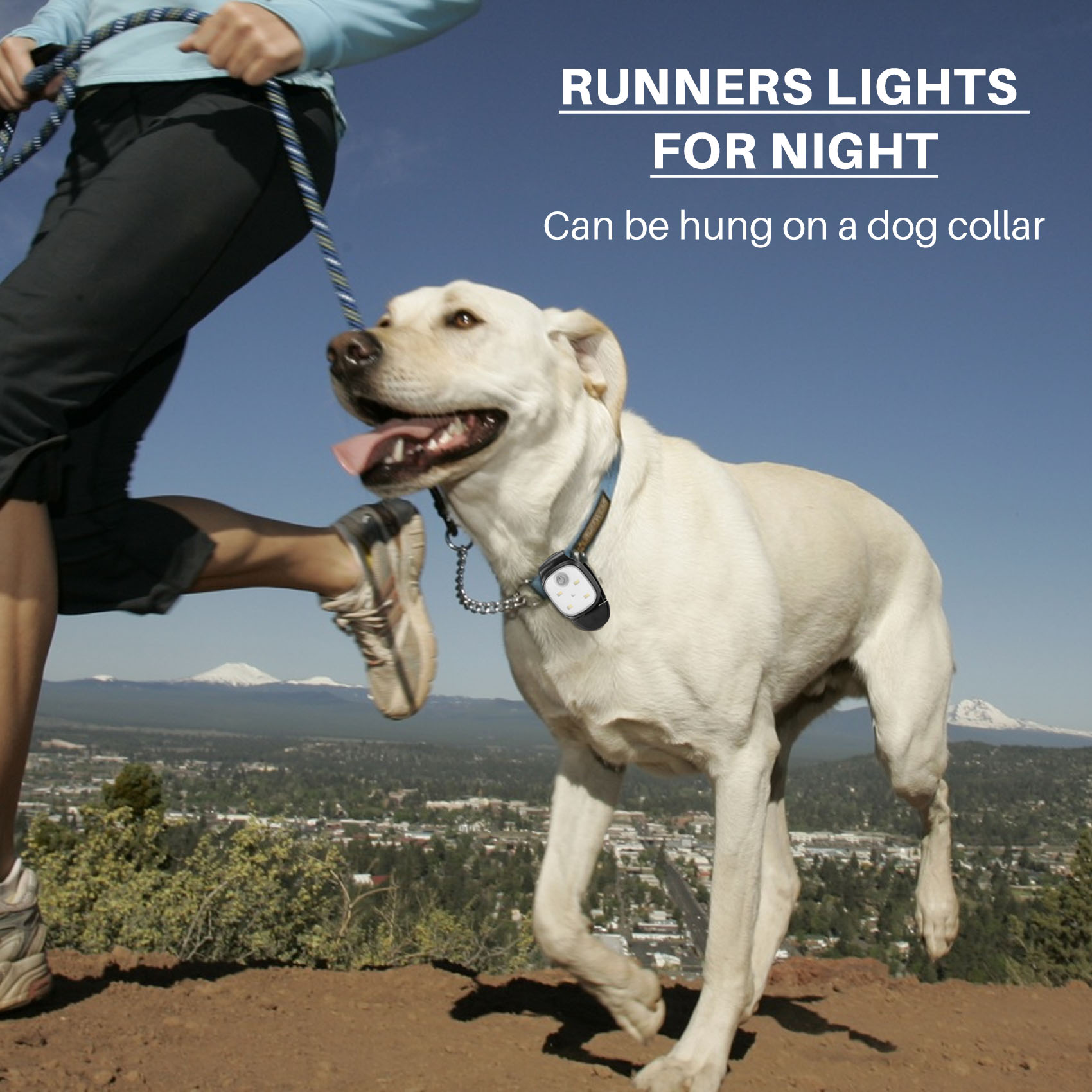 ABLL-Outdoor Luzes Noturnas de - Running Gear On avaliação e preço